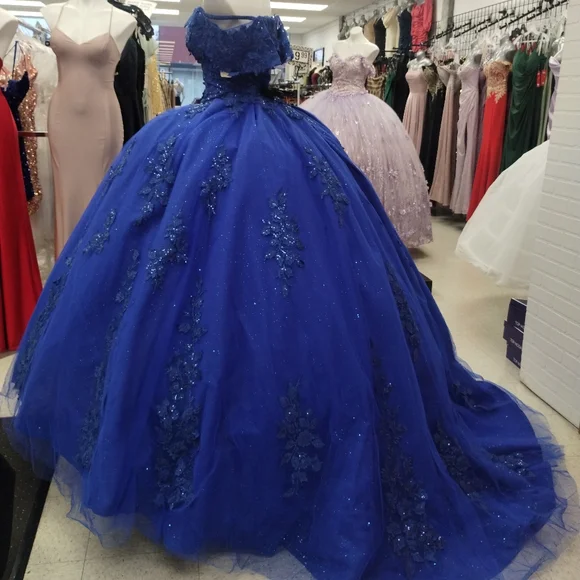 Elegant New Quinceañera Dress - Picture 2 of 11